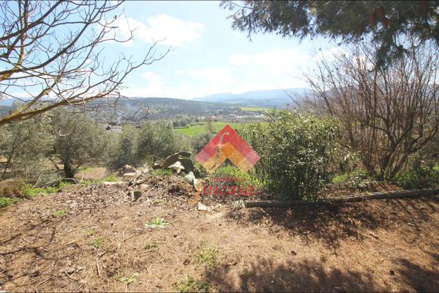 Finca rústica en Venta en Casco Histórico