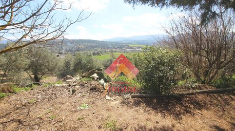 SE VENDE FINCA RÚSTICA EN RONDA LA VIEJA