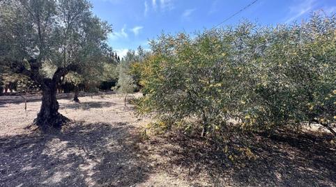 Photo 2 of Country house for sale in Melik Alto, Campo Alto - Club de Campo, Alicante