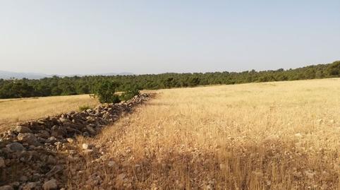 Foto 5 de Terreno en venta en  Aguica M Lorca, 80, Fontanares, Murcia