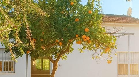 Foto 2 de Casa o xalet en venda a Cártama, Málaga