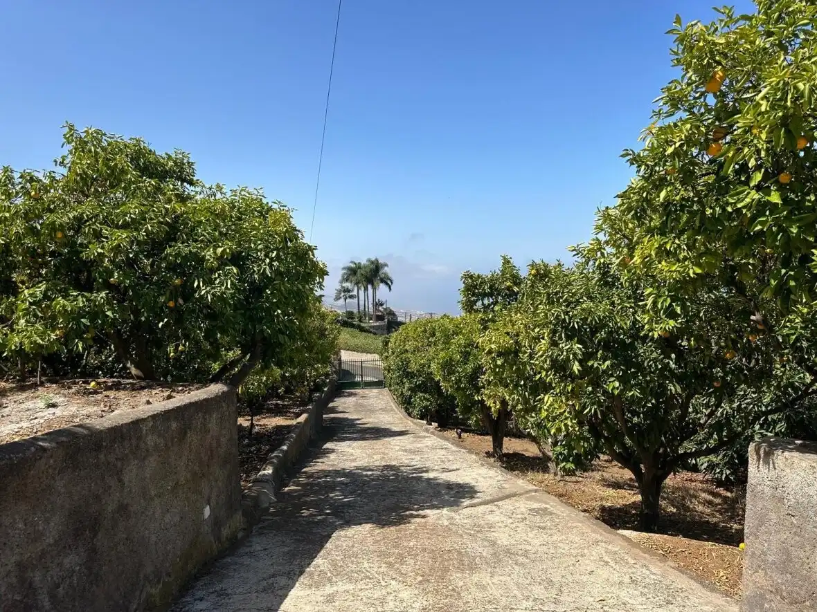 Vista exterior de Finca rústica en venda en La Orotava amb Terrassa