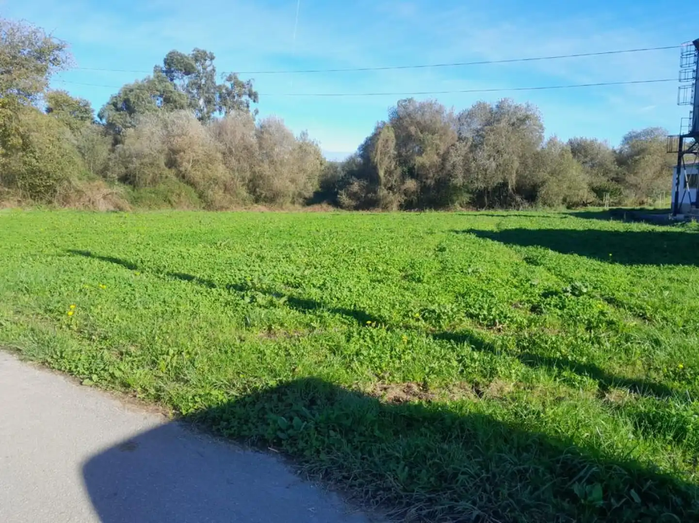 Terreny residencial en venda a Zurita - Bº SAN JULIAN