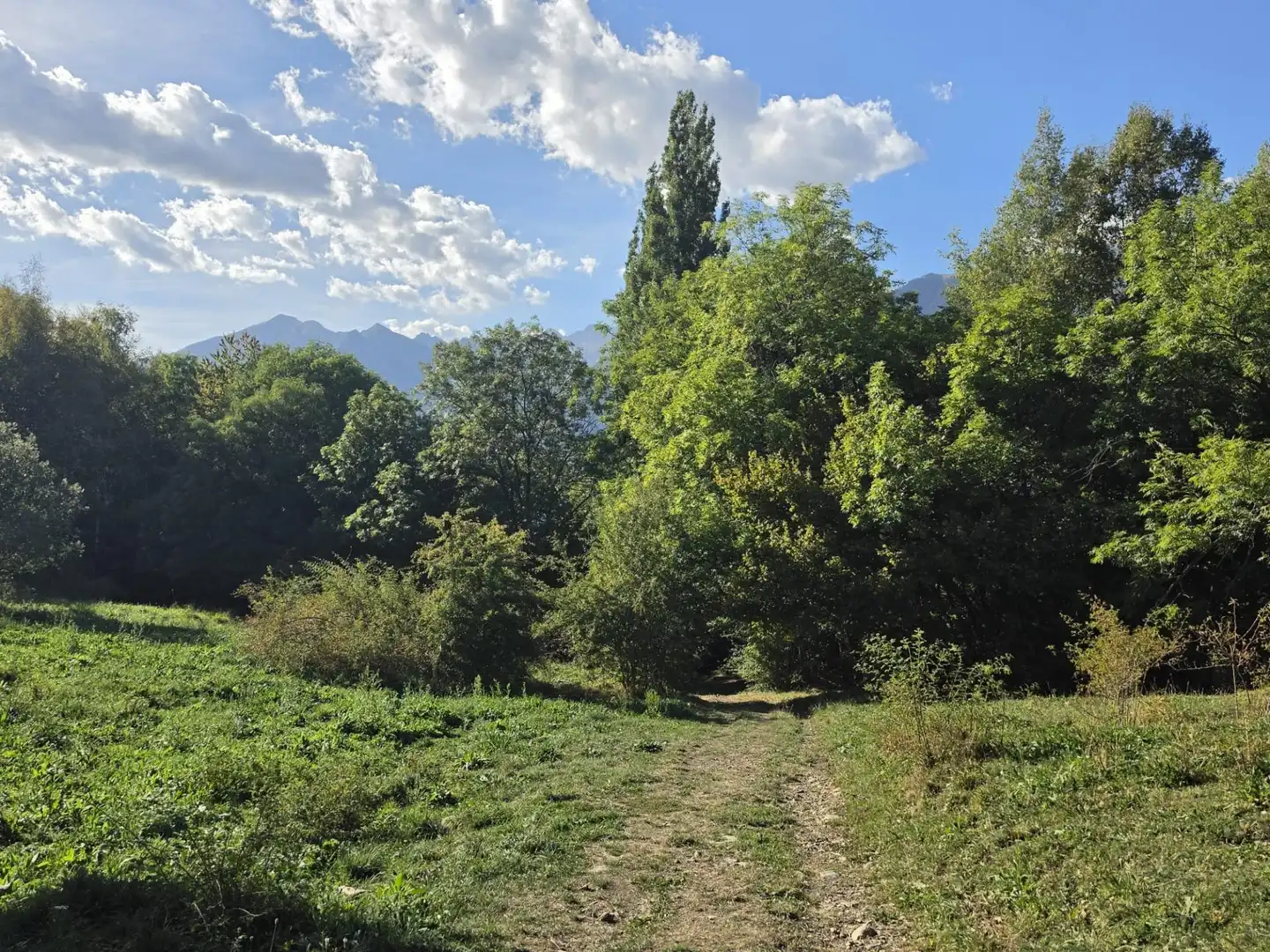 Lands and plots for sale in Benasque, imagen 9