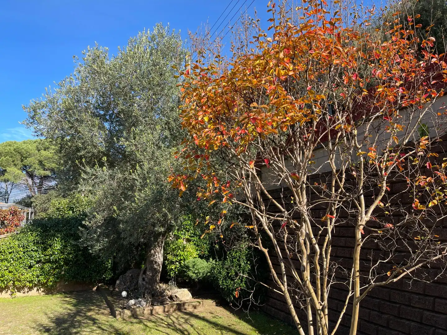 Casa amb jardí en venda a Carrer del Pi, imagen 59