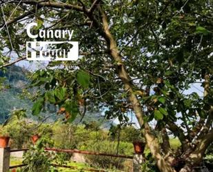 Casa o xalet en venda en Los Realejos amb Aire condicionat, Calefacció i Jardí privat