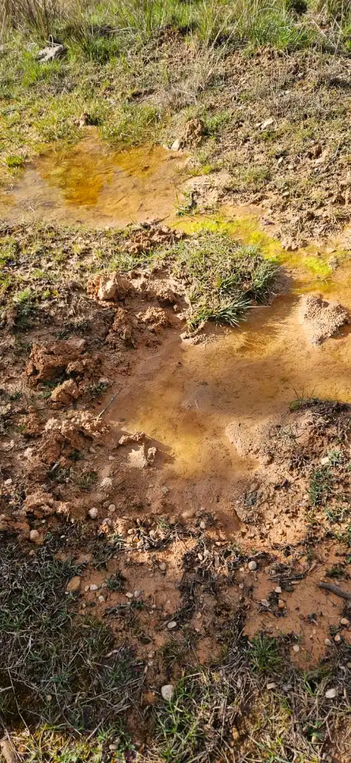 Jardín de Terreno en venta en Las Parras de Castellote