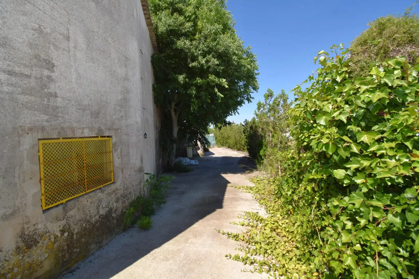 Local commercial à vendre à Muro, imagen 17