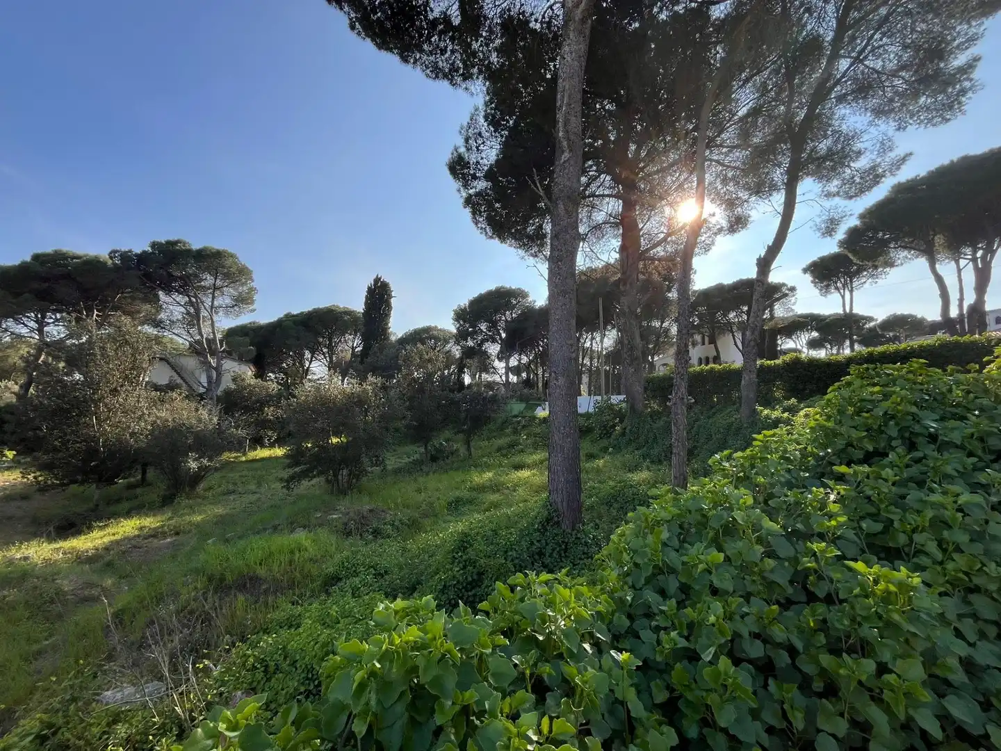 Jardín de Residencial en venta en L'Escala