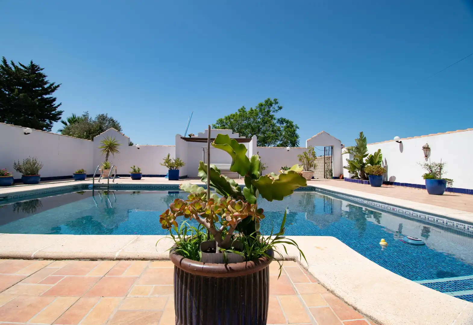 Piscina de Casa o xalet en venda en Chiclana de la Frontera