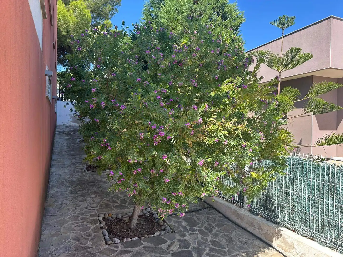 Chalet con terraza en venta en El Balcó - Jaume I, imagen 6