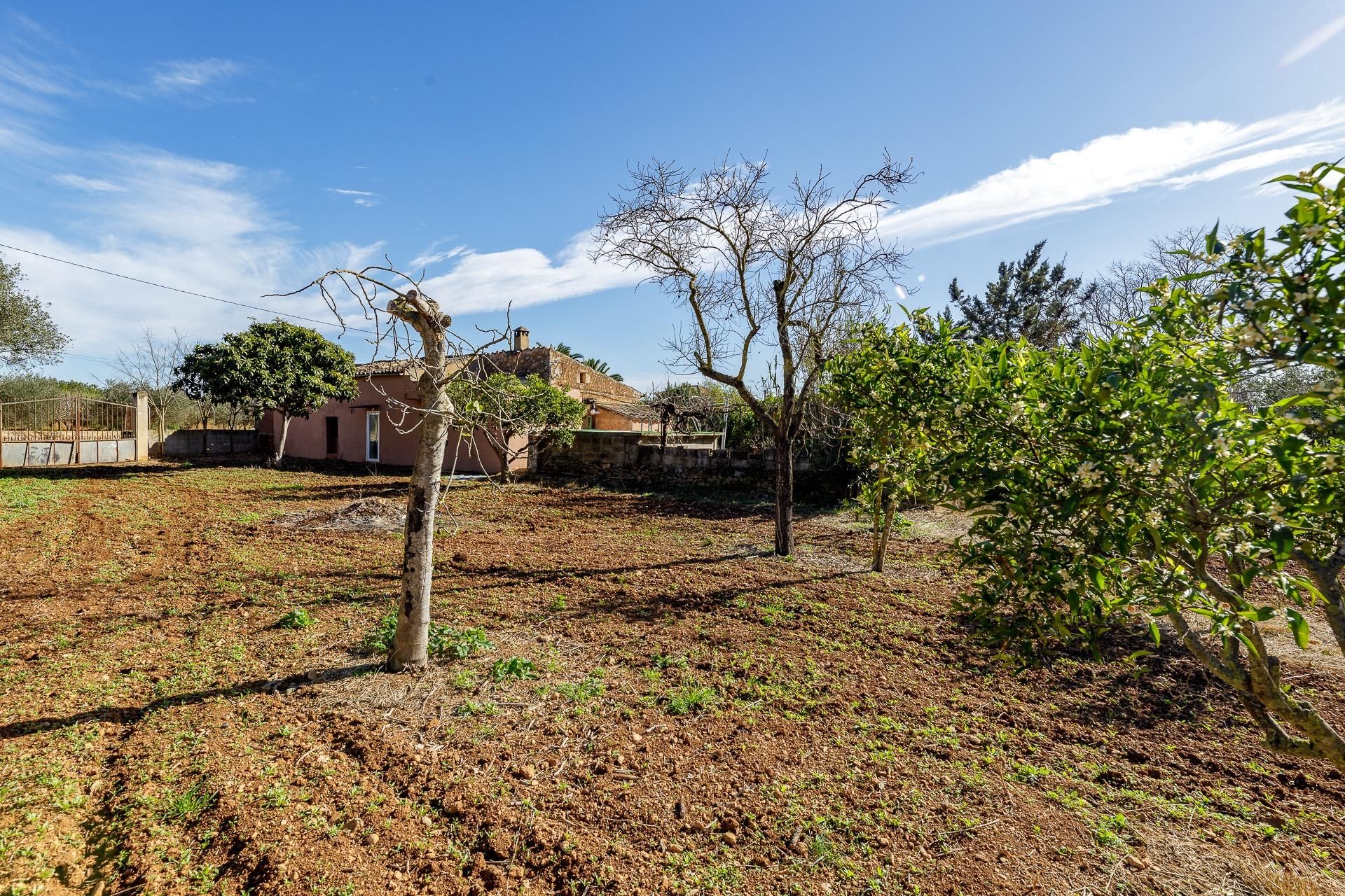 Country house for sale in Polígono POLIGONO 8, Santa María del Camí