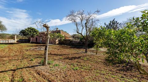 Foto 2 de Finca rústica en venta en Polígono Poligono 8, Santa María del Camí, Illes Balears