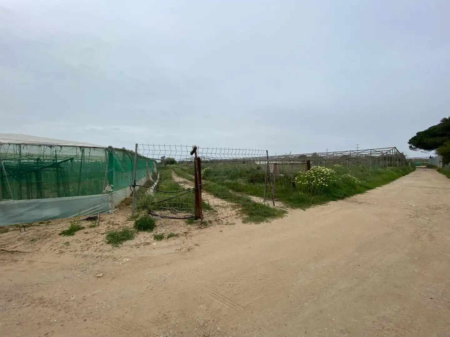 Terreno rustico in vendita a Las Tres Piedras - Costa Ballena, imagen 4