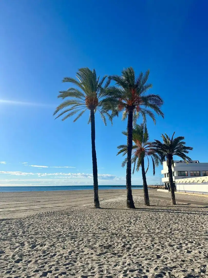 Pis amb terrassa en venda a Santa Pola ciudad, imagen 64