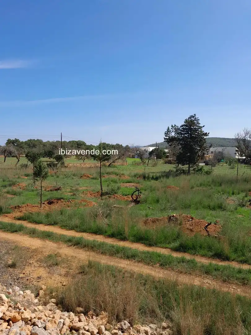 Terreno en venta en Es Canar, Sant Carles