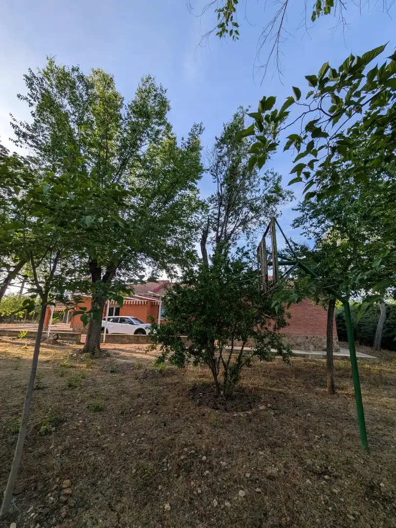 Vista exterior de Finca rústica en venta en Miguelturra con Aire acondicionado, Calefacción y Jardín privado
