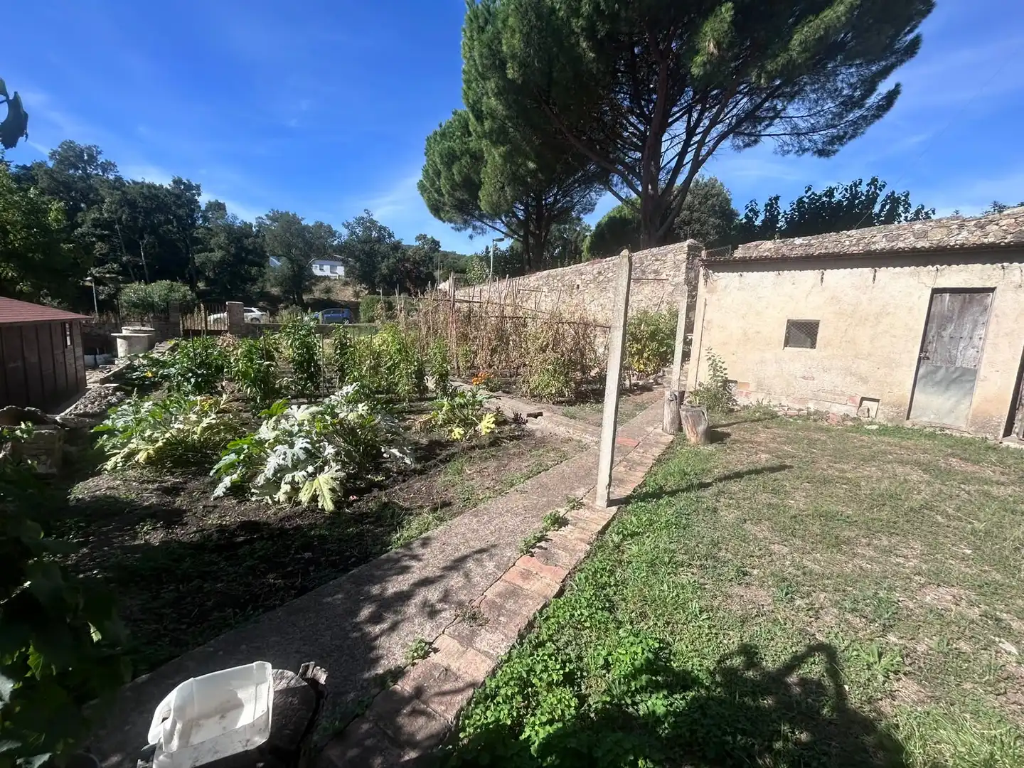 Casa rústica amb terrassa en venda a Carrer de les Dòmines 16, imagen 25