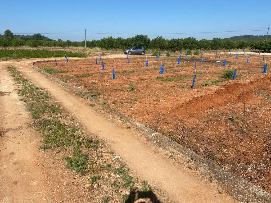 Terreno en venta en Anna