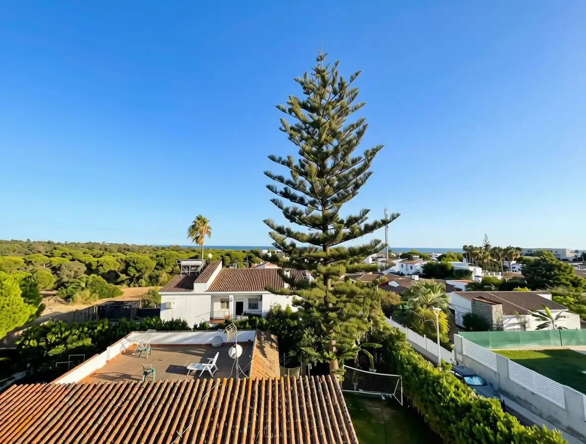 Exterior view of Houses for sale in El Rompido  with Air Conditioner, Private garden and Terrace