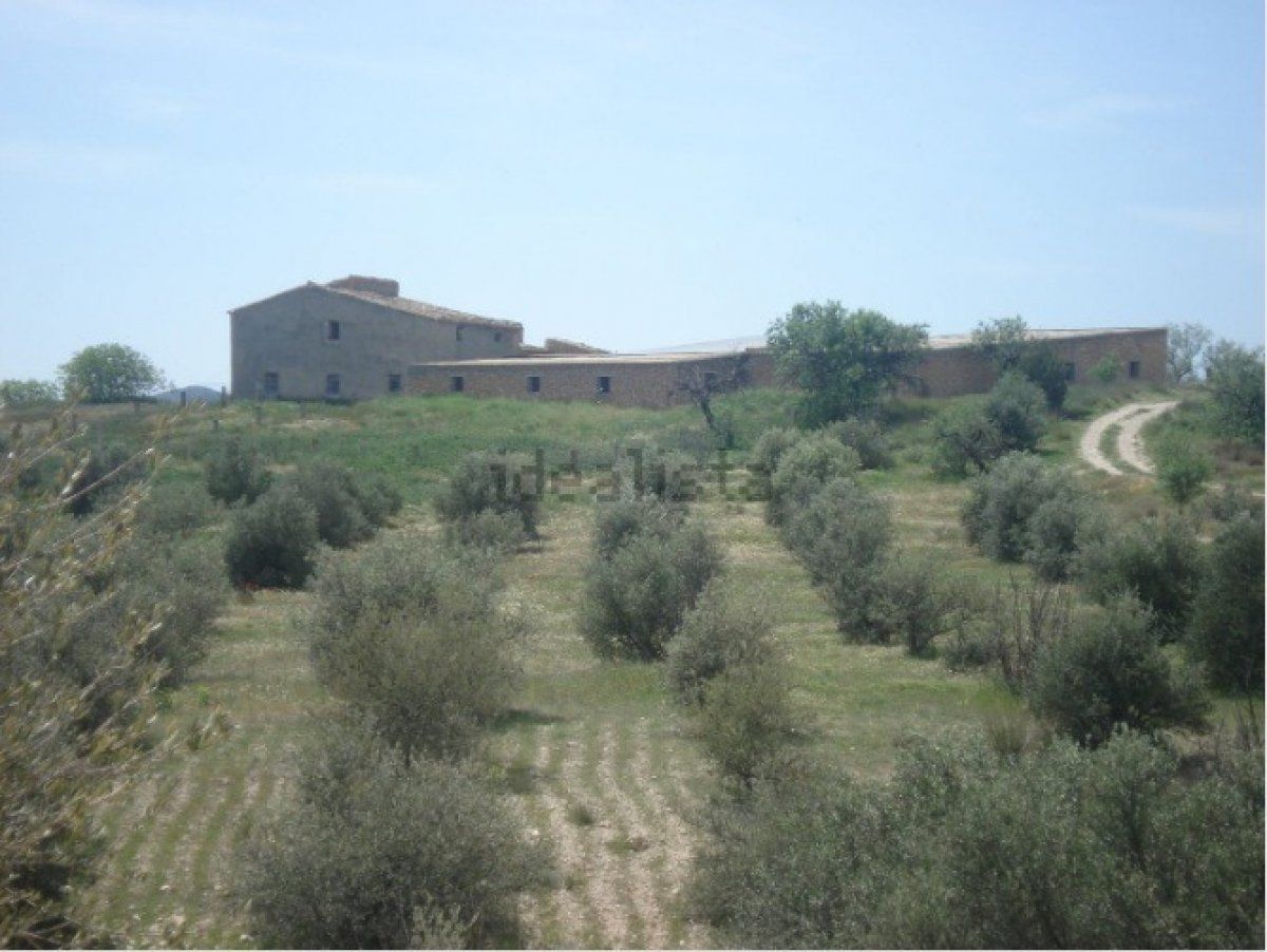 Finca rústica en venta en Lorca