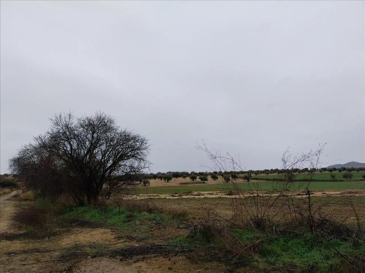 Terreny residencial en venda a PARAJE DE LOS ADOBES, imagen 3