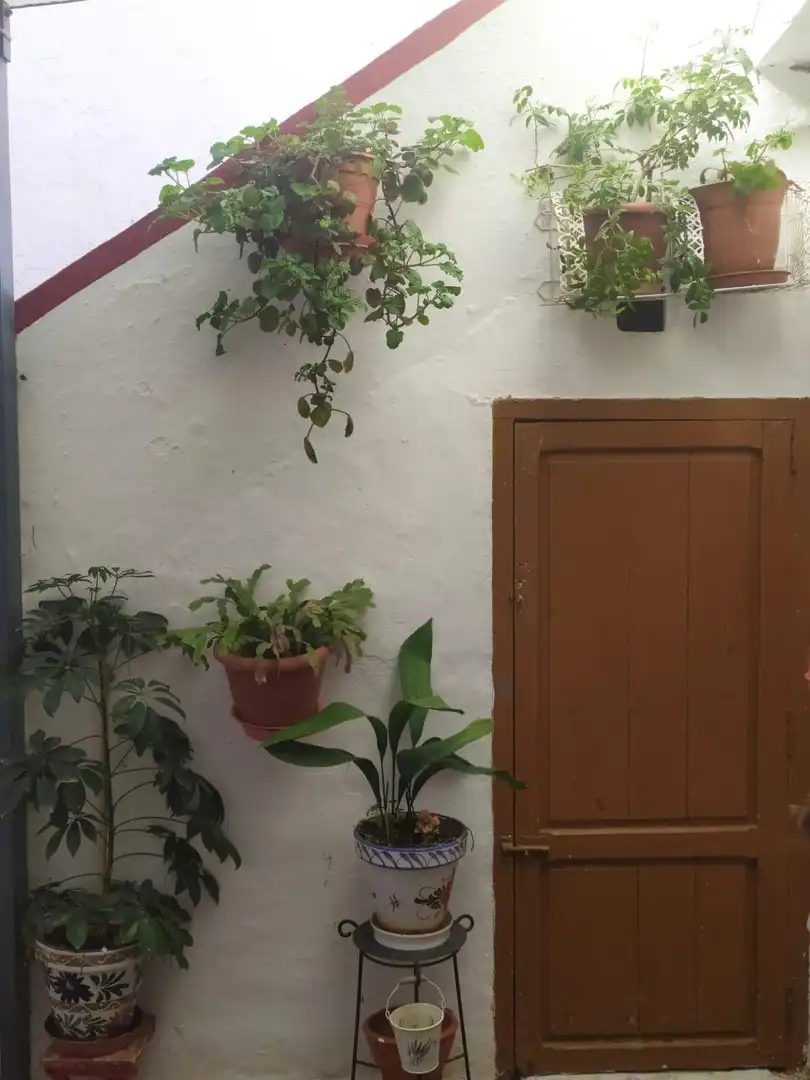 Casa rustica in vendita a Mogente / Moixent, imagen 18