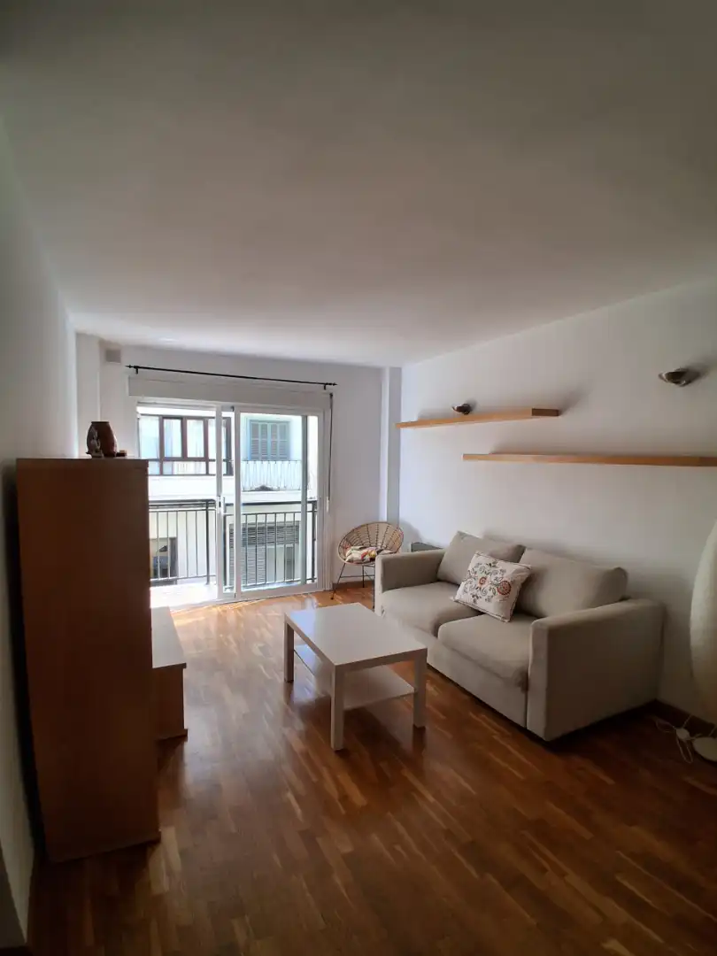 Living room of Apartments for rent in  Palma de Mallorca  with Air Conditioner, Parquet flooring and Furnished
