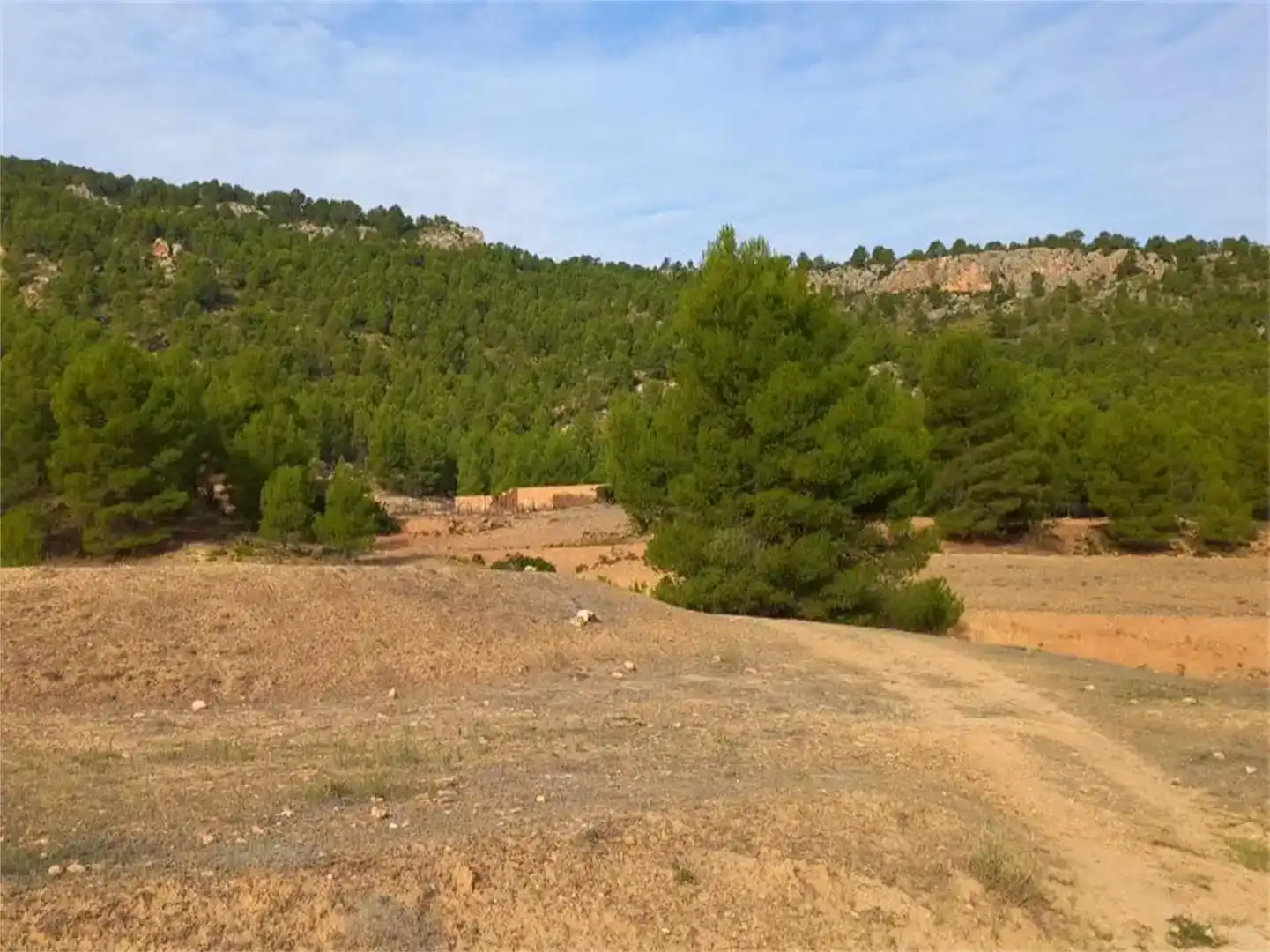 Terreno en venta en Letur