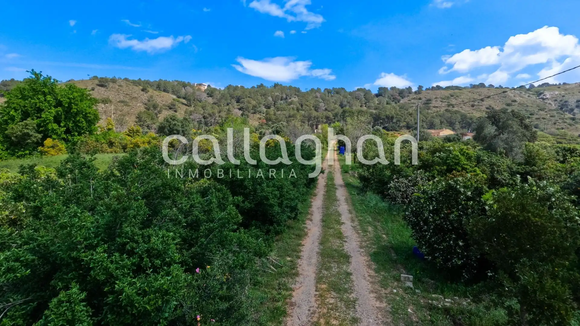 Casa o chalet en venta en Alzira con Calefacción, Jardín privado y Terraza