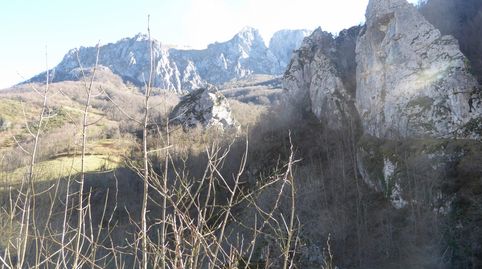 FINCA CON CABAÑA EN PLENA NATURALEZA, immagine 2