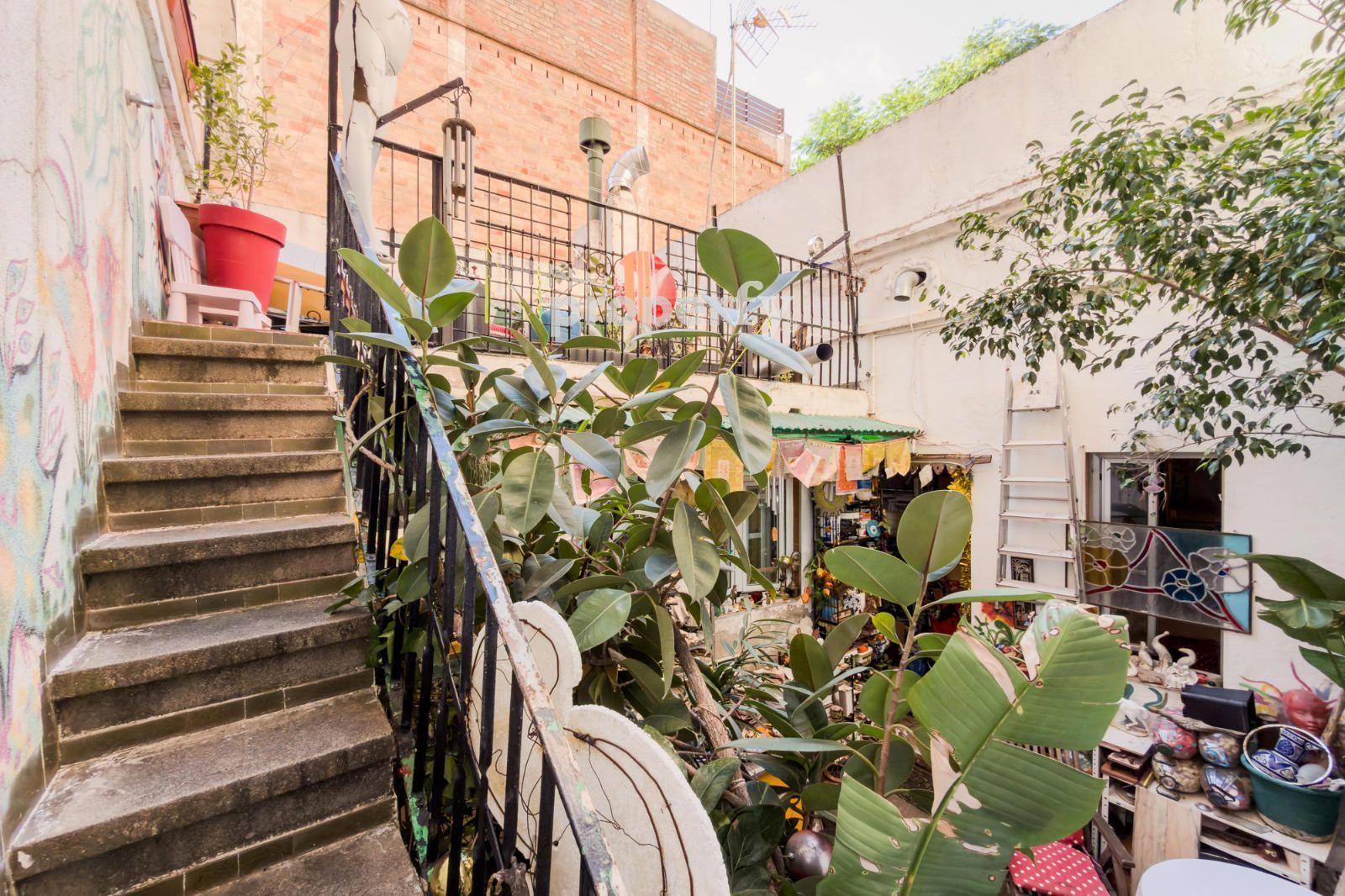 Garden of House or chalet for sale in  Barcelona Capital  with Private garden and Terrace