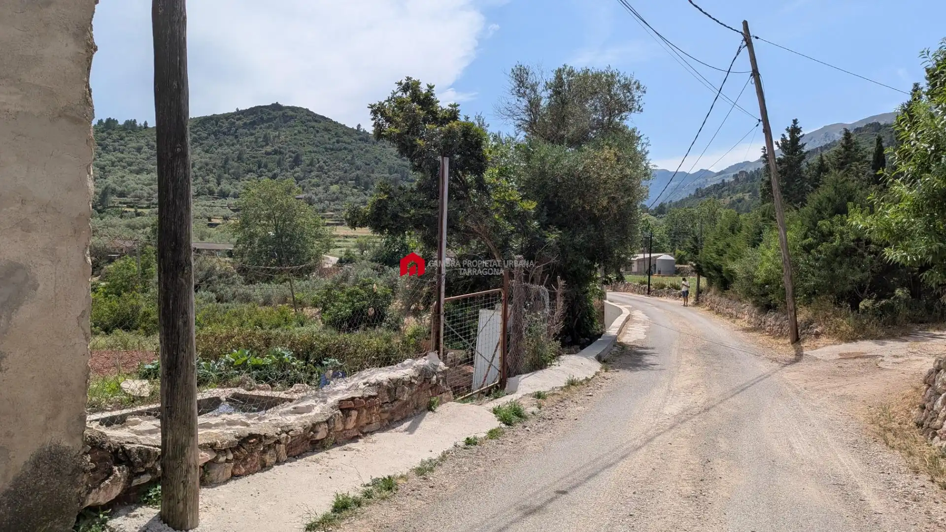 Grundstücke zum Verkauf in Alfara de Carles