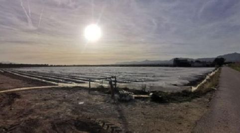 !CDATA Casa de 315m y 30.000m de Terreno y para Crear tu Sueño en San Isidro de Albatera, imatge 3