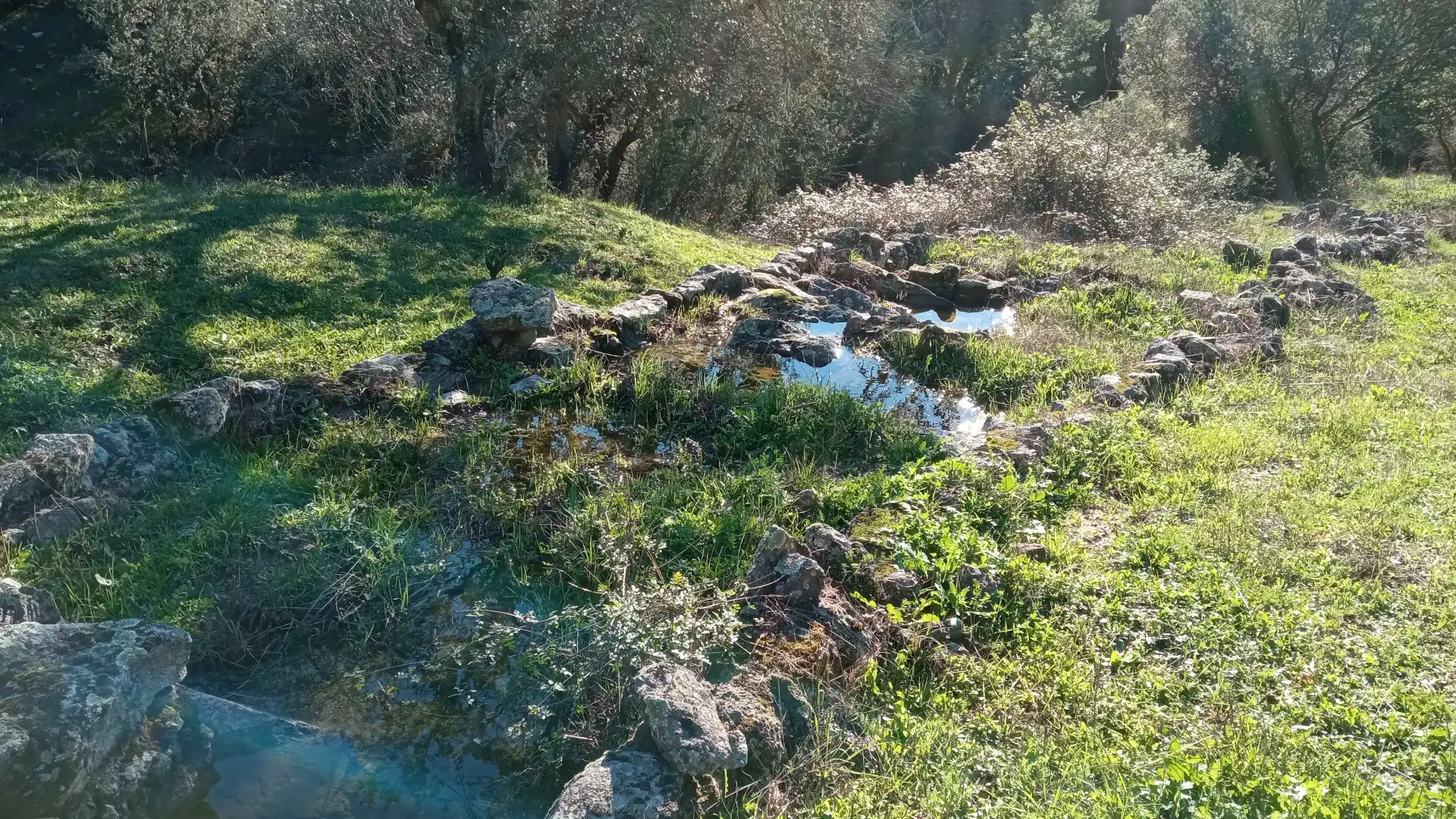 Terreni e lotti in vendita a Casavieja, imagen 6