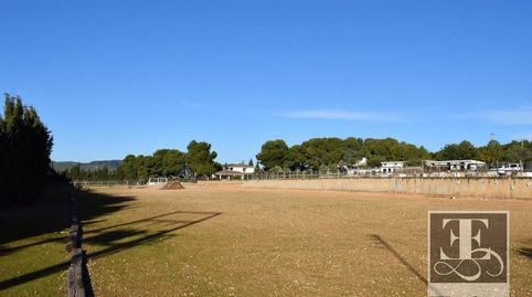 Masia Única, image 4
