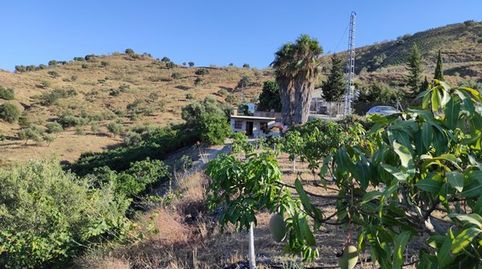 Foto 2 de Finca rústica en venda a Calle Benamocarra, 5, Periana, Málaga