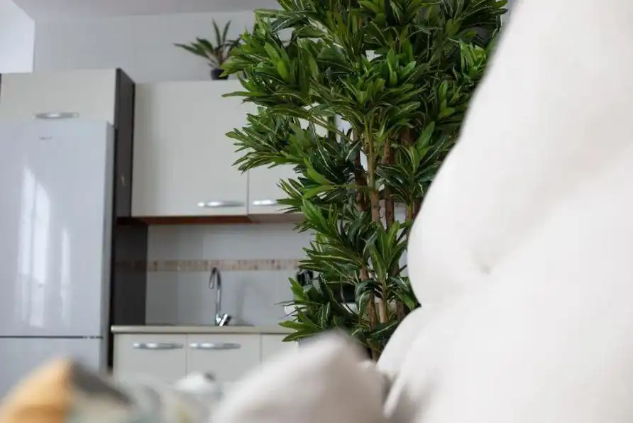 Apartament en venda a Tiro, imagen 14