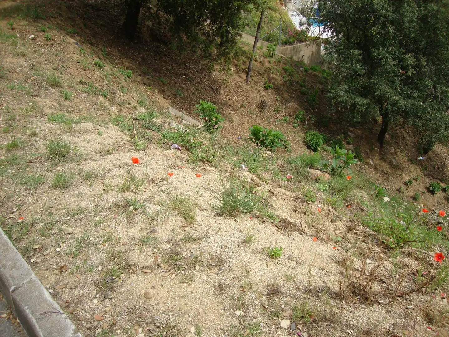 Wohnbaugrundstück zum Verkauf in Sant Cebrià de Vallalta, imagen 3