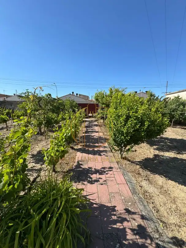 Jardín de Terreno en venta en Santacara