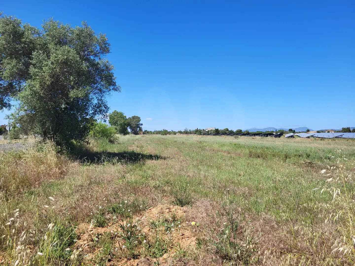 Terrain rustique à vendre à Polígono 2 Parcela 1, imagen 2