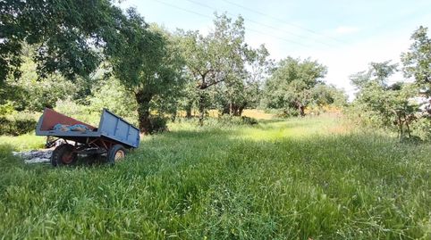 Terreno en venta en Hervás  Paraje La Romana, immagine 3