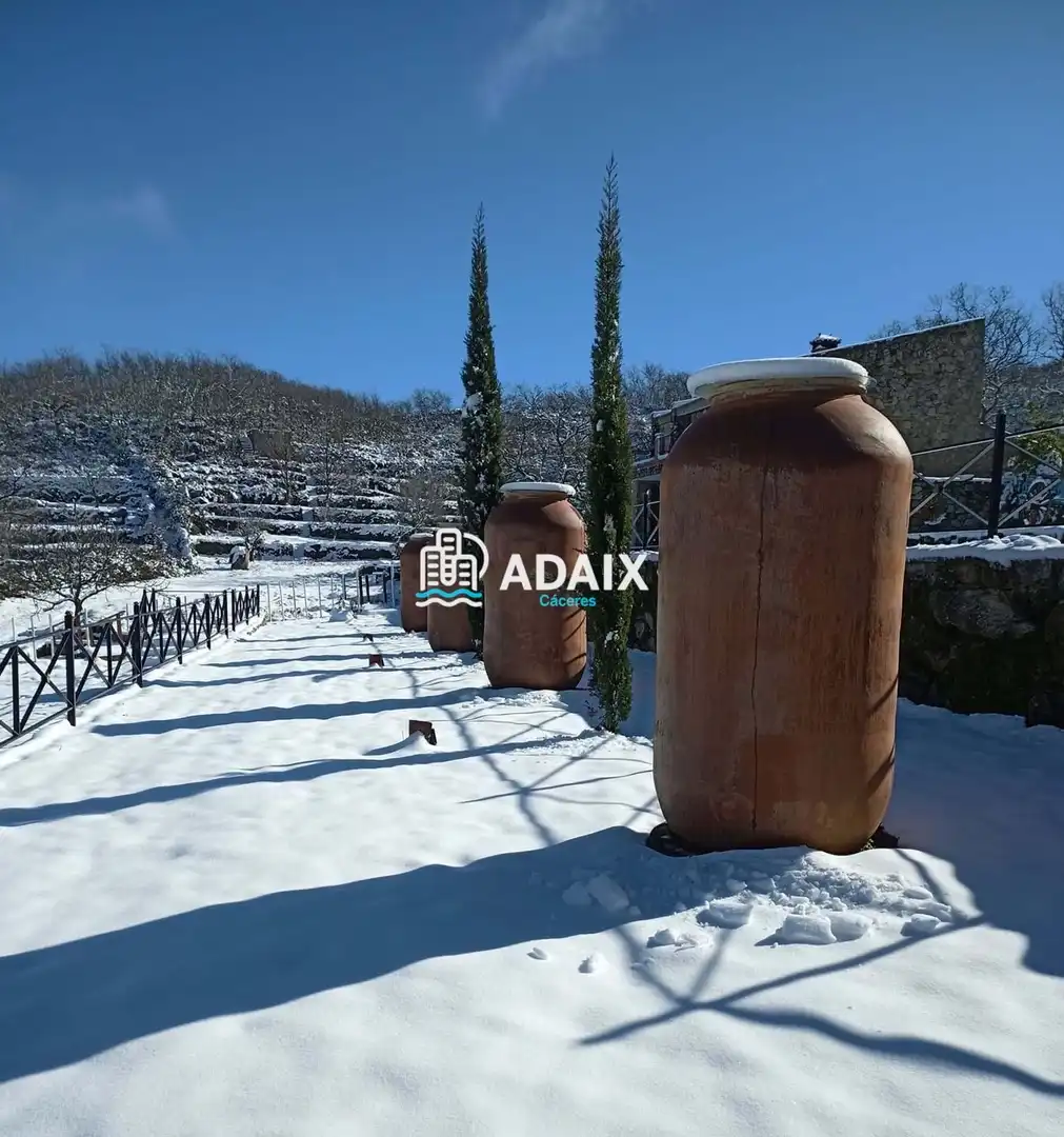 Jardín de Casa o chalet en venta en Montánchez con Terraza, Trastero y Piscina