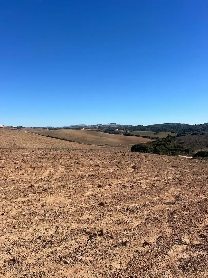 Terreny rústic en venda a Medina Sidonia, imagen 14