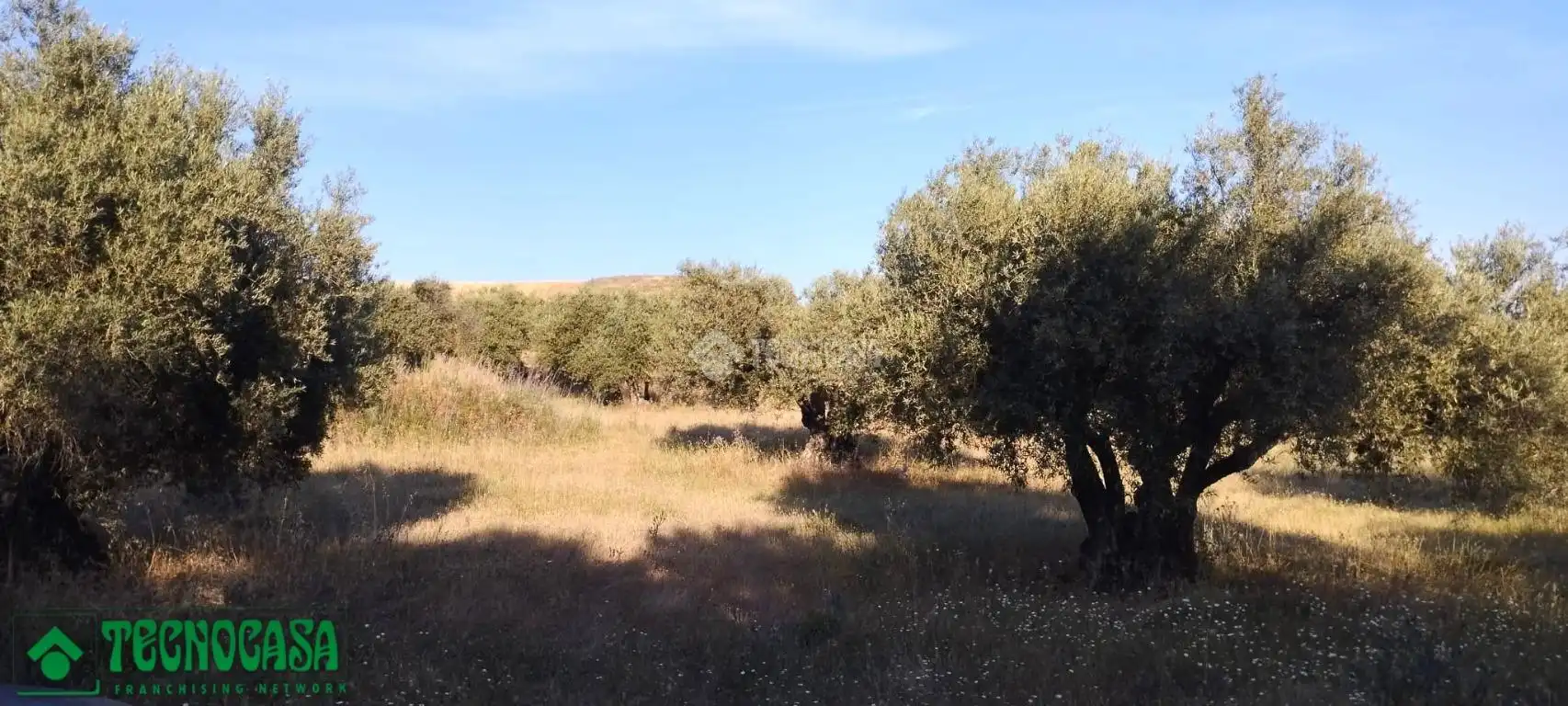 Terreni e lotti in vendita a Méntrida, imagen 14