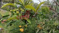 Garden of House or chalet for sale in Cunit