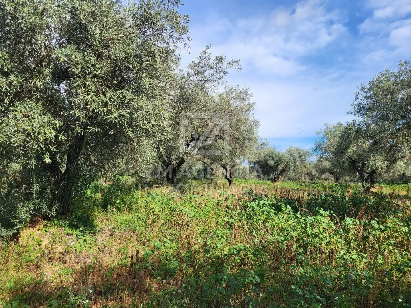 Rural land for sale in Vilagrós, imagen 4