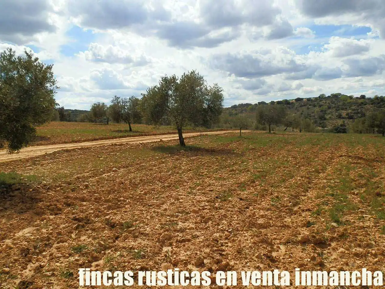 Terreni e lotti in vendita a Balazote, imagen 17