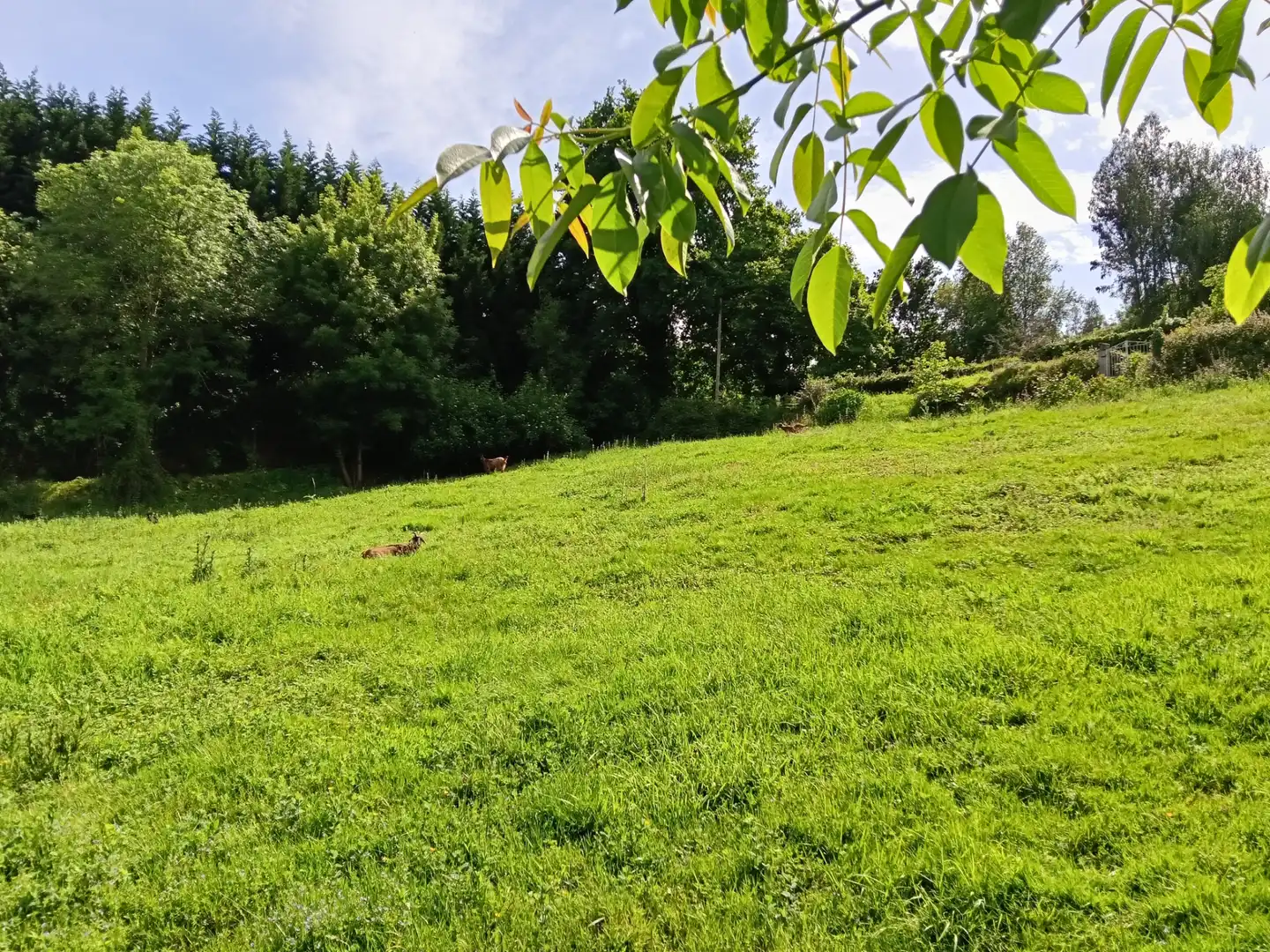Adossat amb jardí en venda a Oza dos Ríos, imagen 13