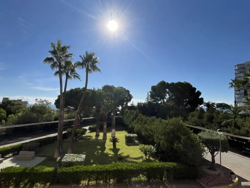 Garden of Flat for sale in Orihuela Costa